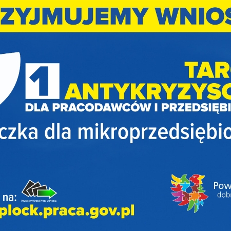 Programy pomocowe dla pracodawców i przedsiębiorców z terenu powiatu płockiego